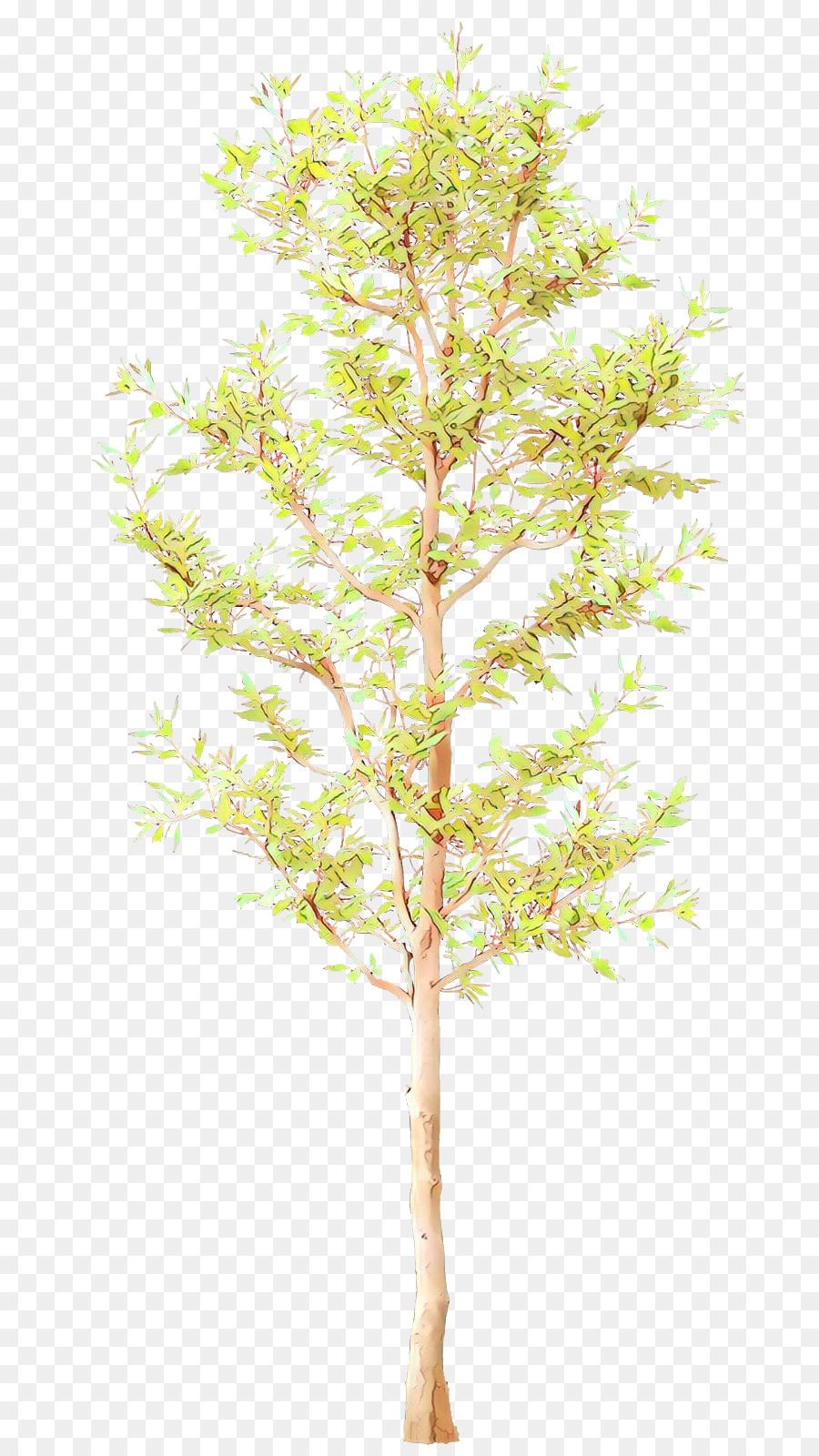 Árbol，Hojas Verdes PNG