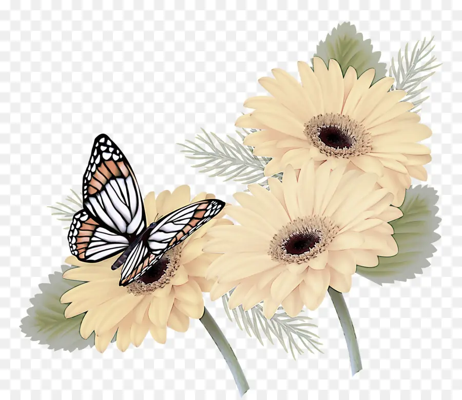 Mariposa，Gerbera PNG