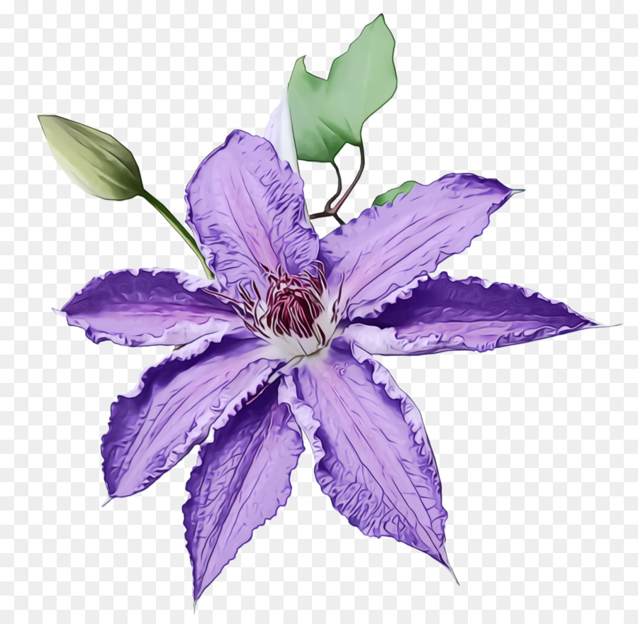 Flor，La Floración De La Planta PNG