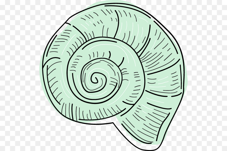 Arte De Línea，Espiral PNG