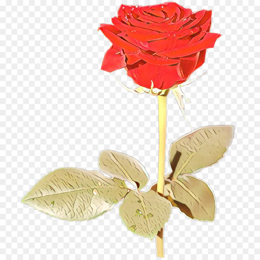 Flor，Cortar Flores PNG