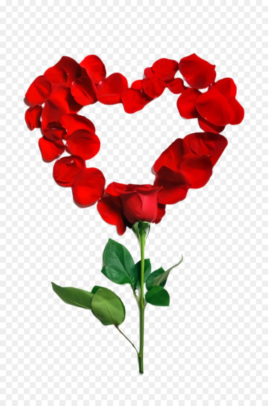 Corazón De Rosa Roja，Amar PNG