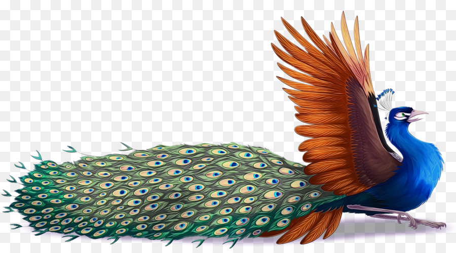 Pluma，Pájaro PNG