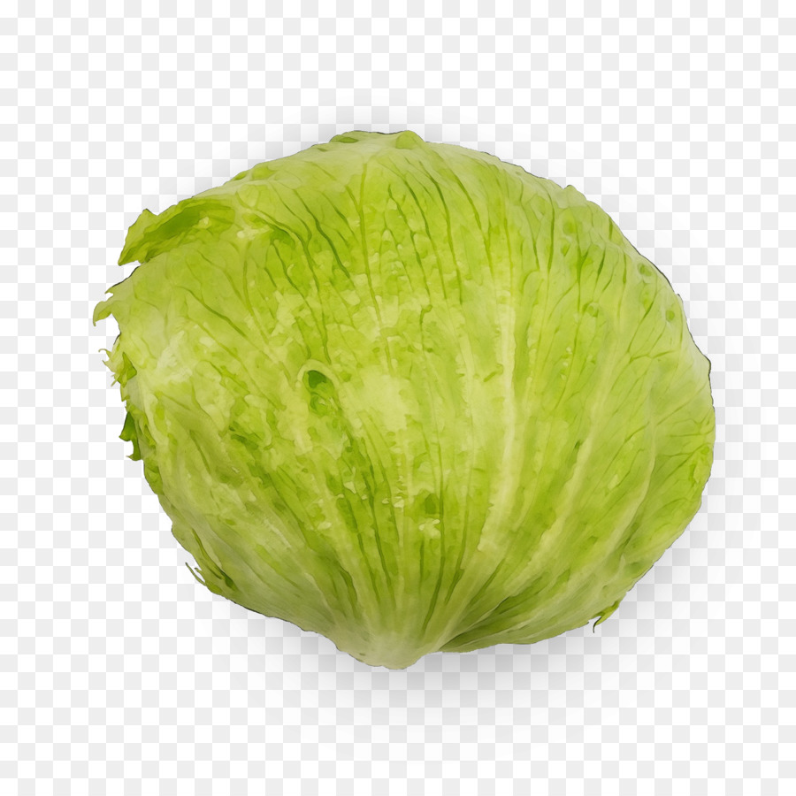 Col，Iceburg Lechuga PNG