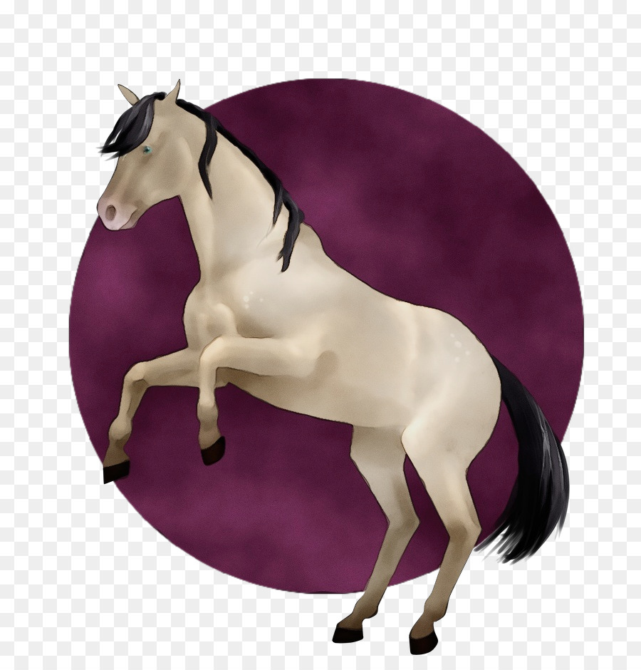 Caballo，Morado PNG