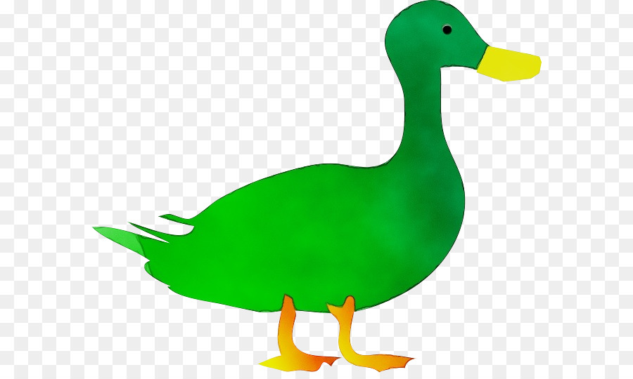 Pato，Aves PNG