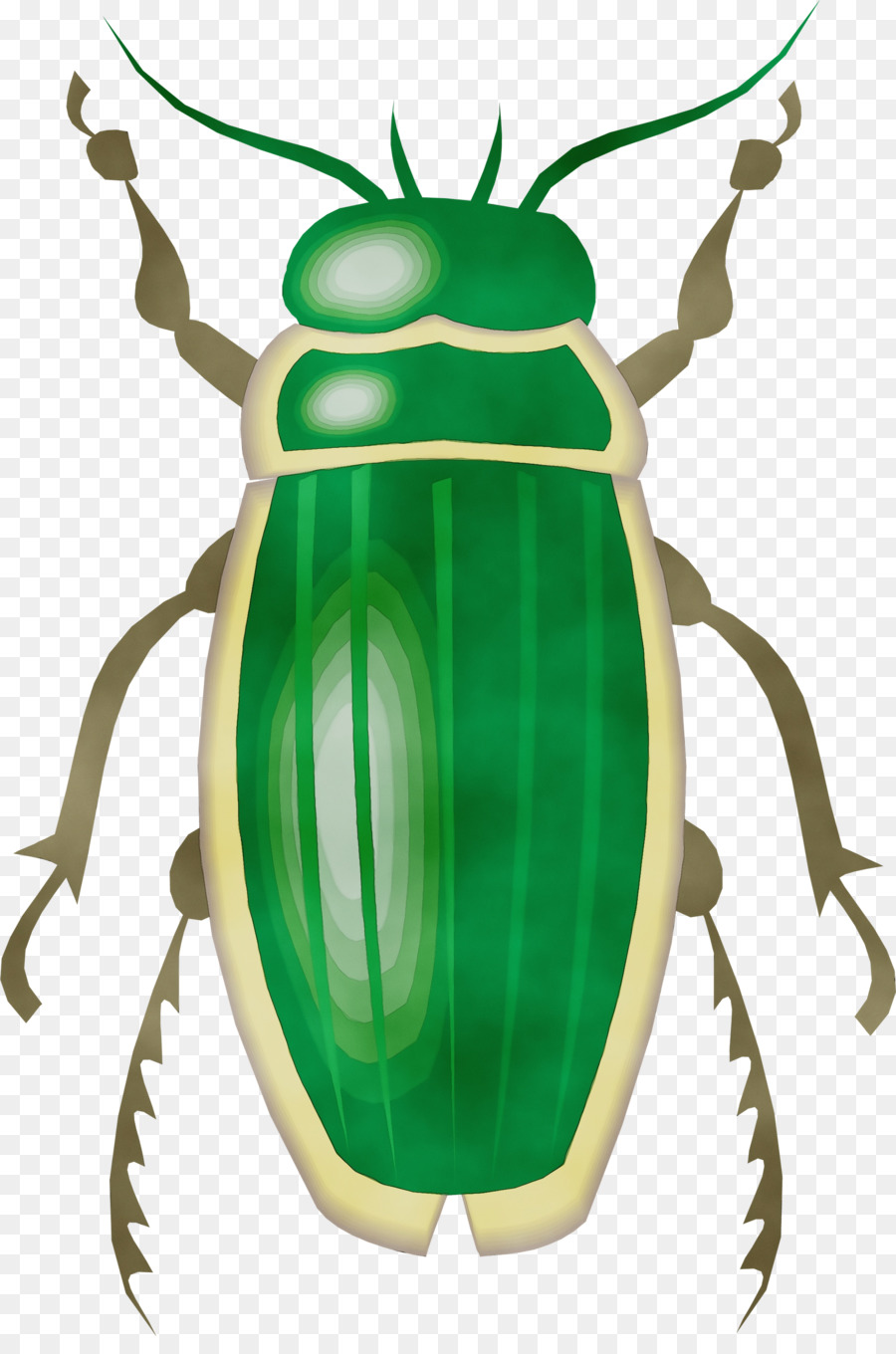 Los Insectos，Escarabajo PNG