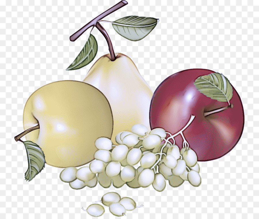 La Fruta，Planta PNG