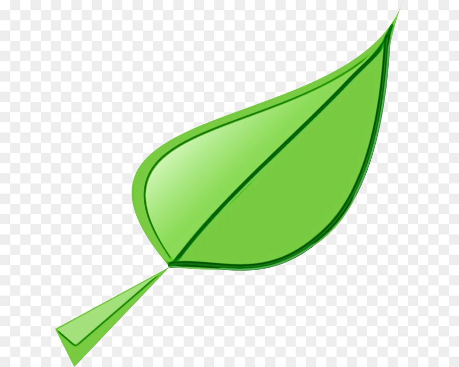 Hoja，Planta PNG