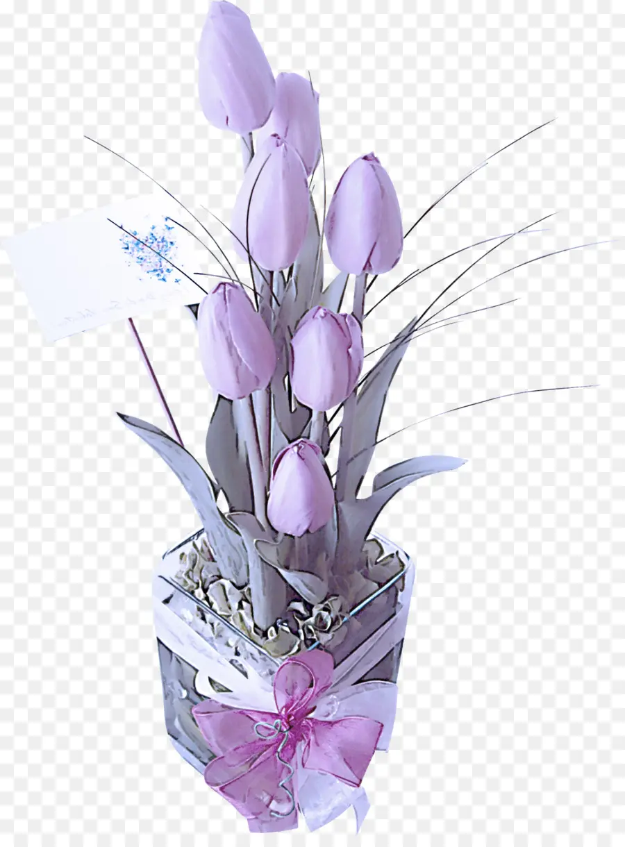 Flor，Violeta PNG