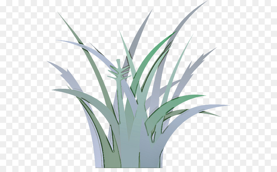 Planta，La Hierba PNG