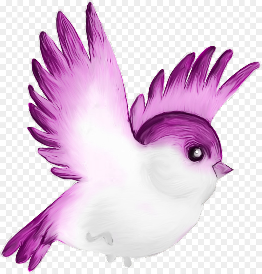 Pájaro，Azul PNG