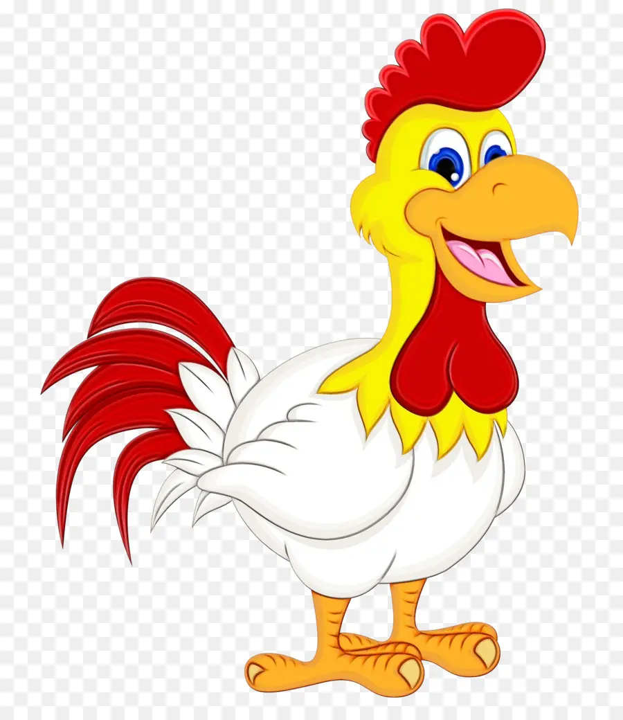 Pollo，Aves PNG