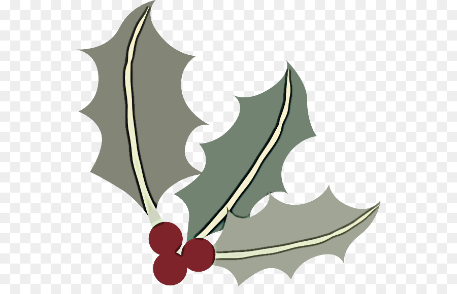 Acebo，Navidad PNG