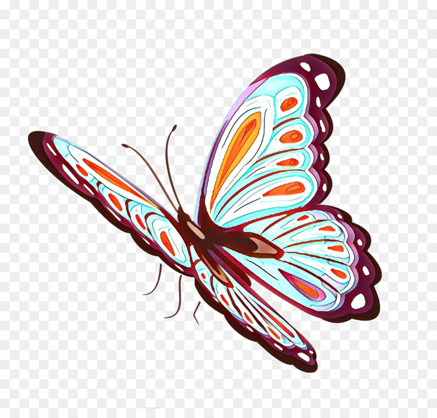 Mariposa，Las Polillas Y Las Mariposas PNG