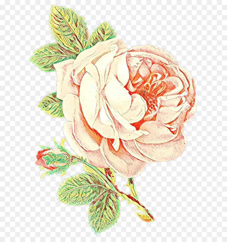 Rosas Rojas，Ramo PNG