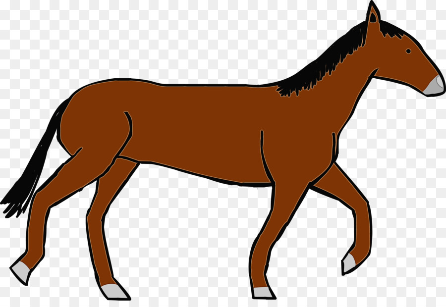 Caballo，Equino PNG