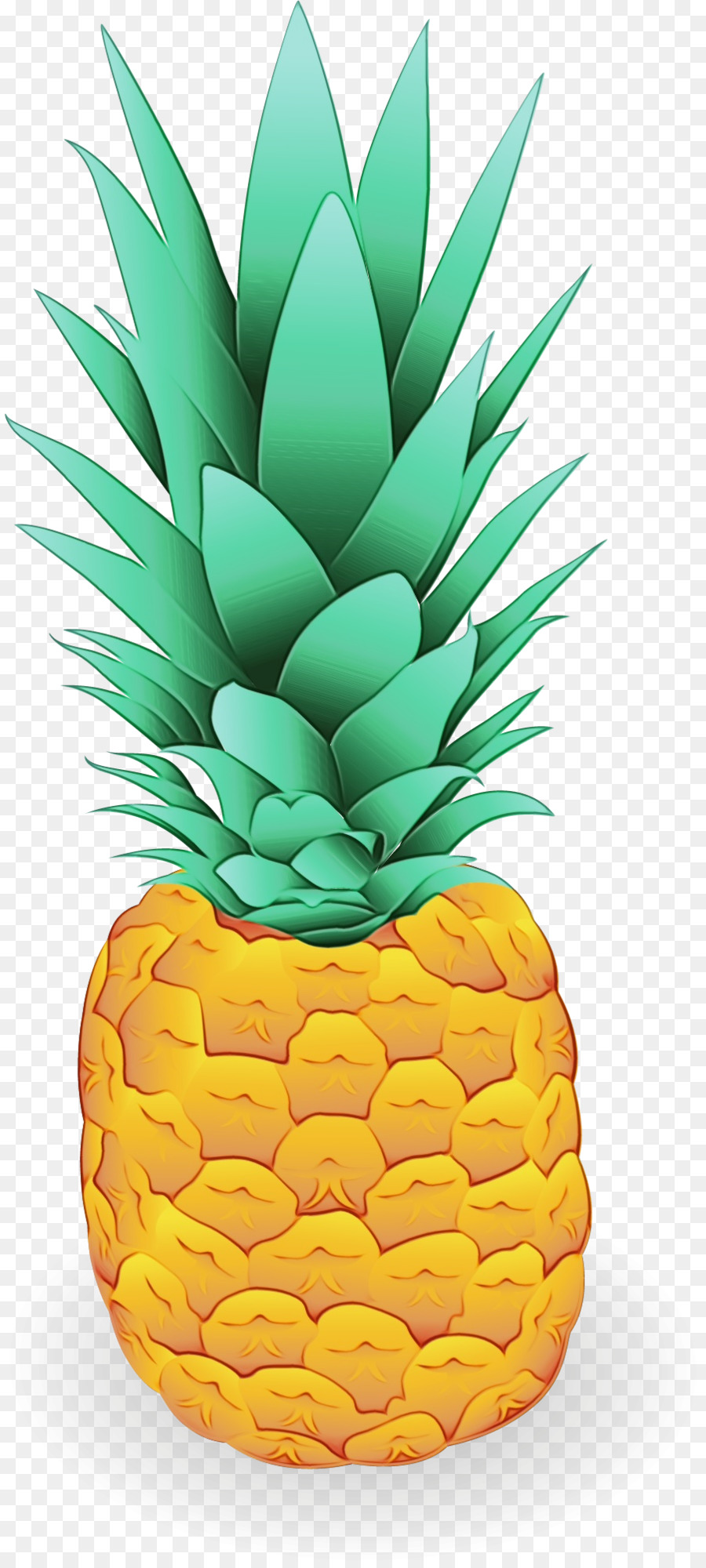 Piña，Ananas PNG