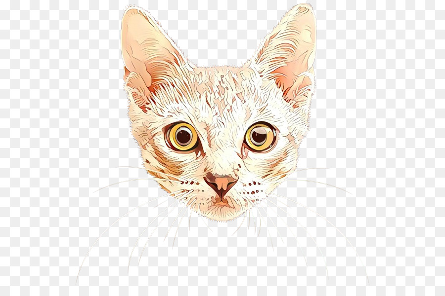 Gato，De Pequeñas A Medianas Gatos PNG