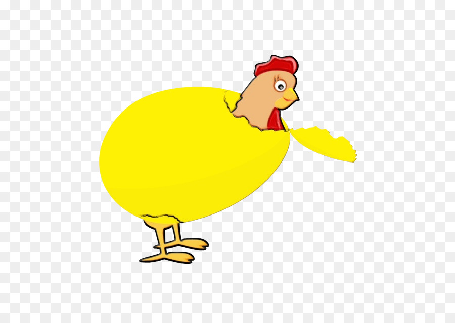 Pollo，Pájaro PNG