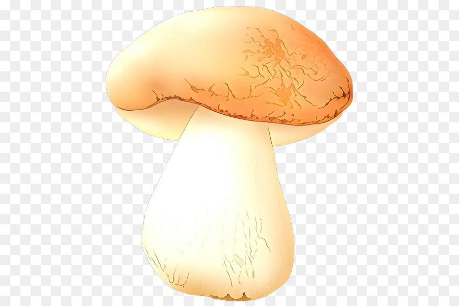 Seta，Agaricus PNG