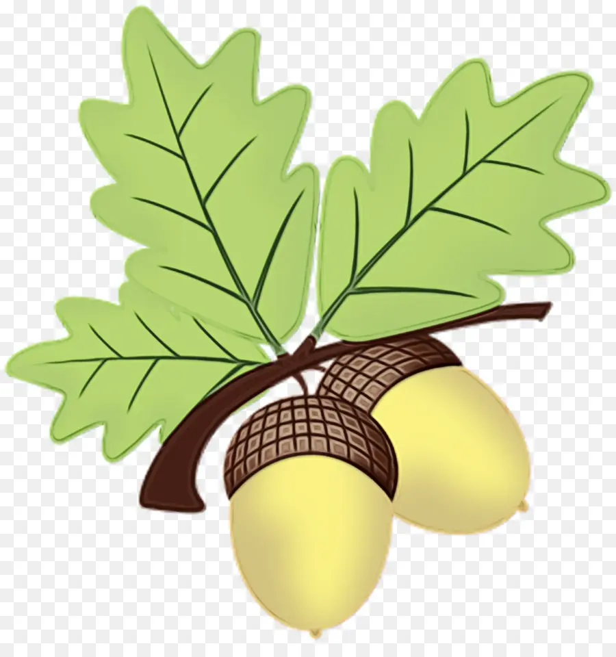 Hoja，Planta PNG