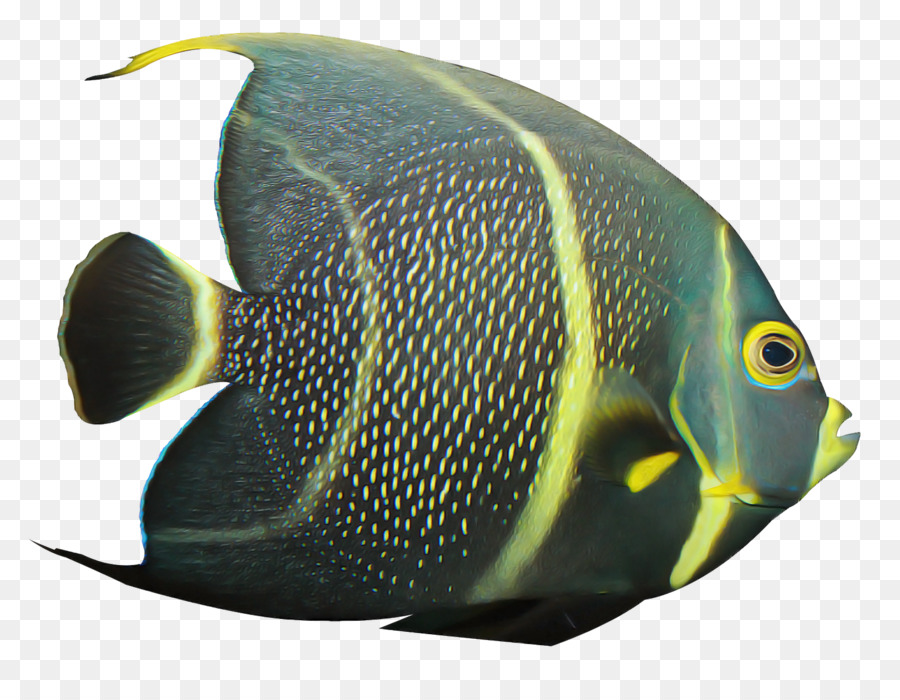 Pescado Azul，Marina PNG