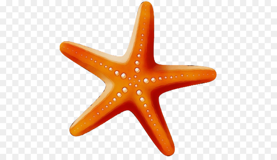 Estrella De Mar，Naranja PNG