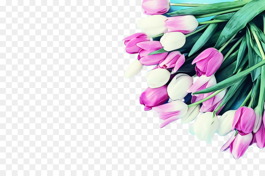 Rosa，Tulip PNG