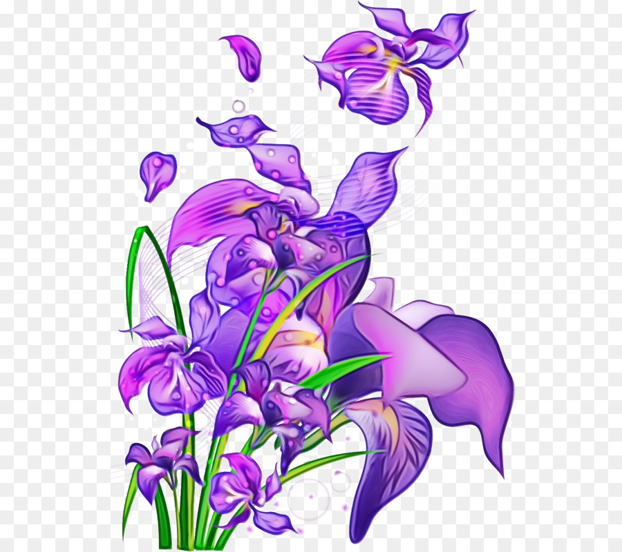 Flor，Violeta PNG