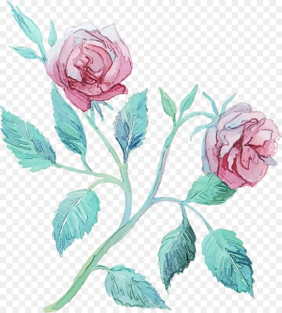 Flor，Rosas De Jardín PNG