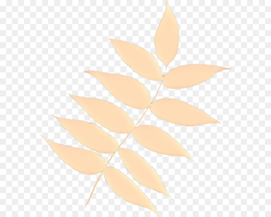 Hoja，Planta PNG