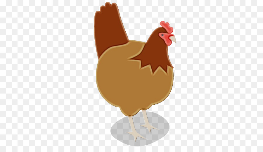 Pollo，Gallo PNG