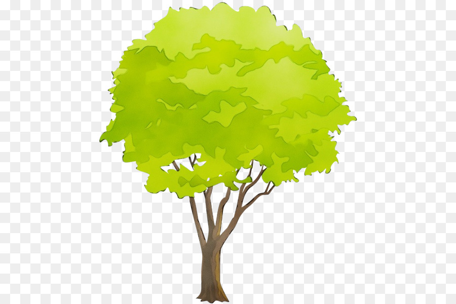 árbol，Verde PNG