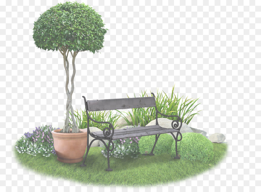 Maceta，Árbol PNG