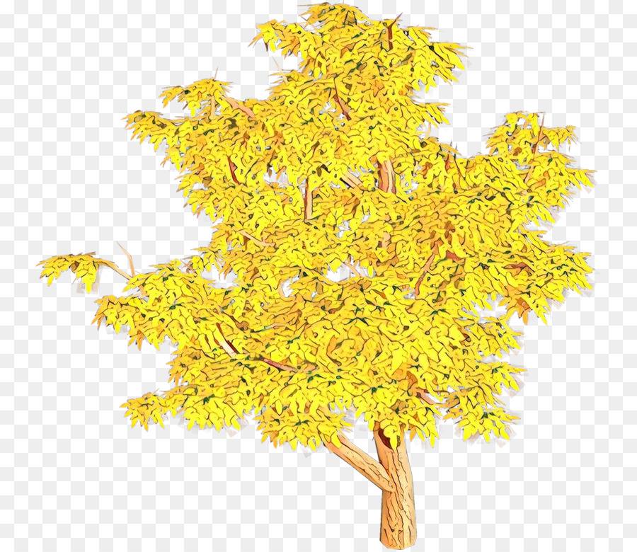 Amarillo，árbol PNG