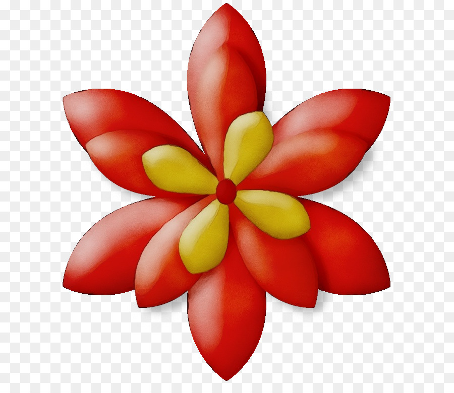 Flor Roja，Pétalos PNG