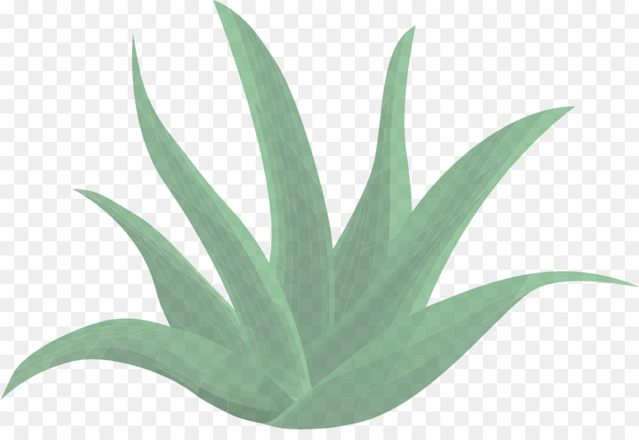 Hoja，Verde PNG