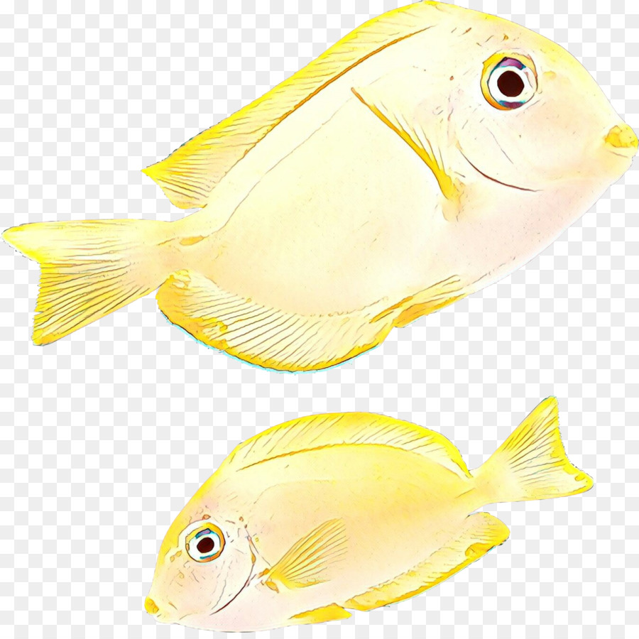 Los Peces，Amarillo PNG