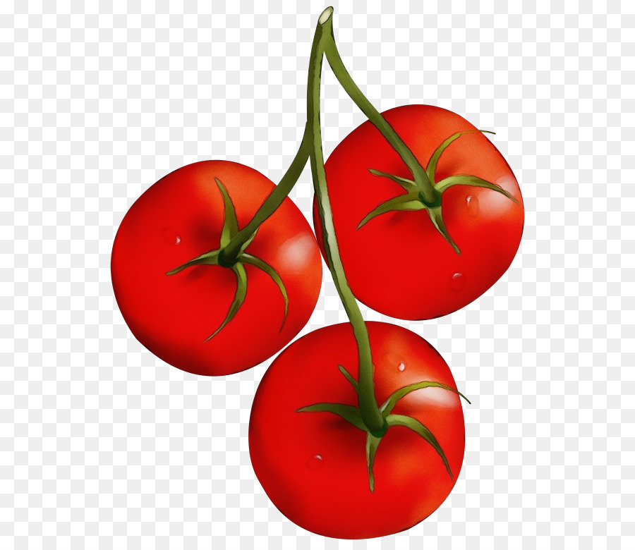 Tomate，Rojo PNG