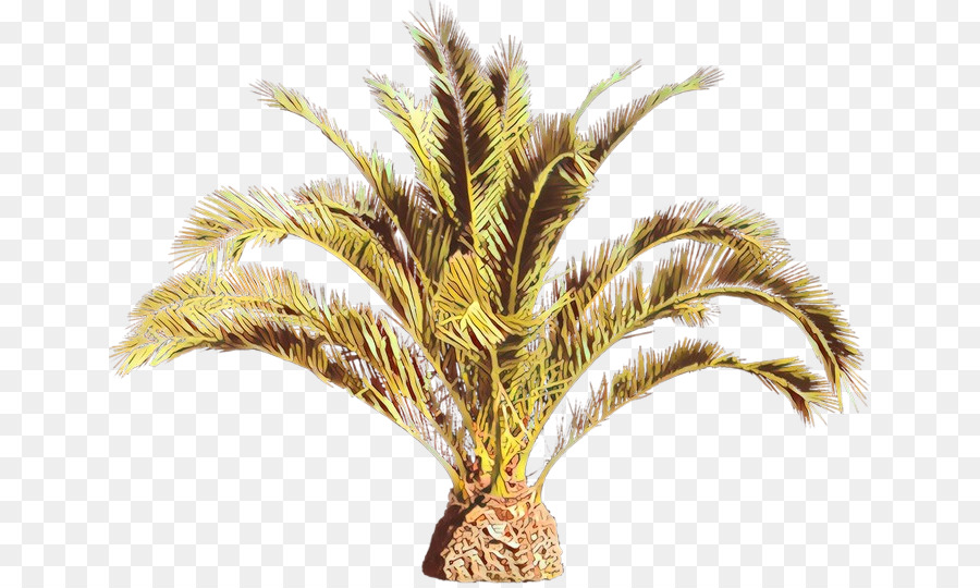 La Hierba，Planta PNG