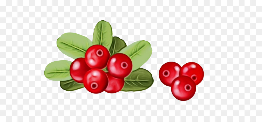 Berry，Arándano Rojo PNG