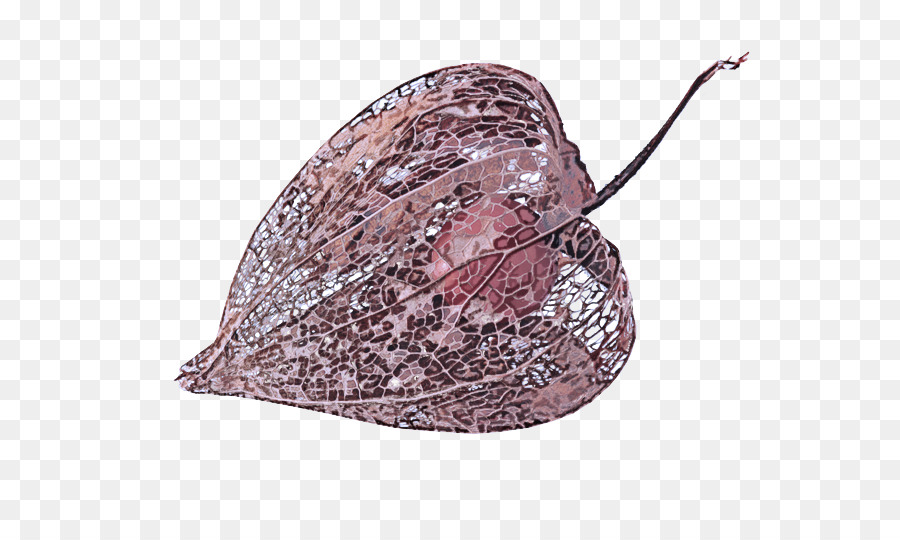 Hoja，Accesorio De Moda PNG