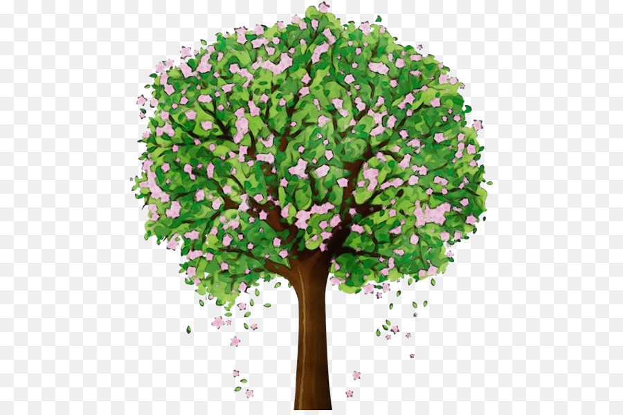 árbol，Planta PNG