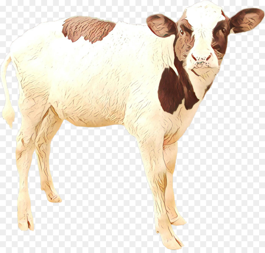 Animal Figura，El Ganado PNG