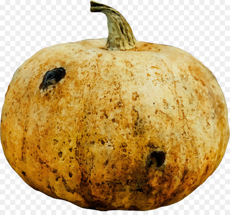 Calabaza，Calabaza De Invierno PNG