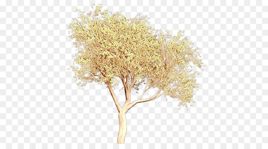 Árbol，Planta PNG