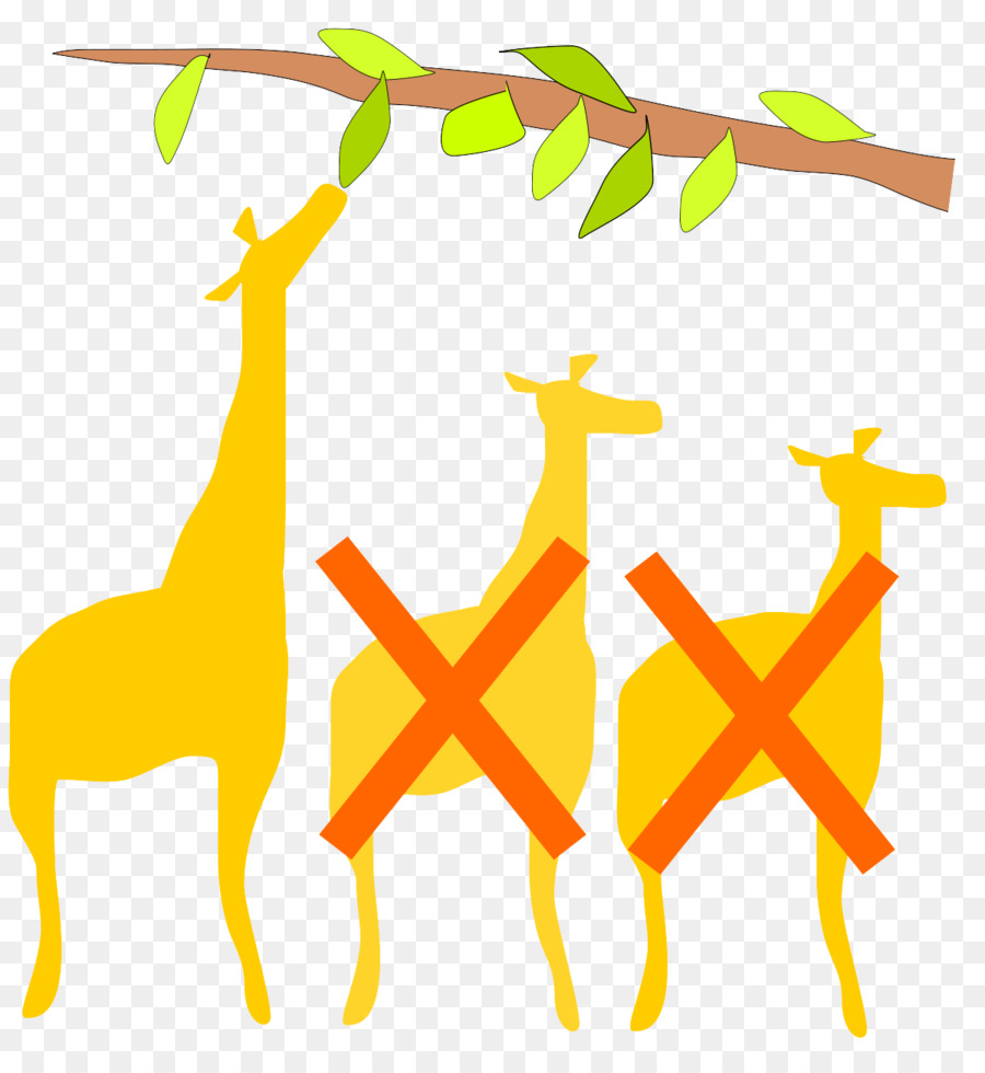 Jirafa，Giraffidae PNG