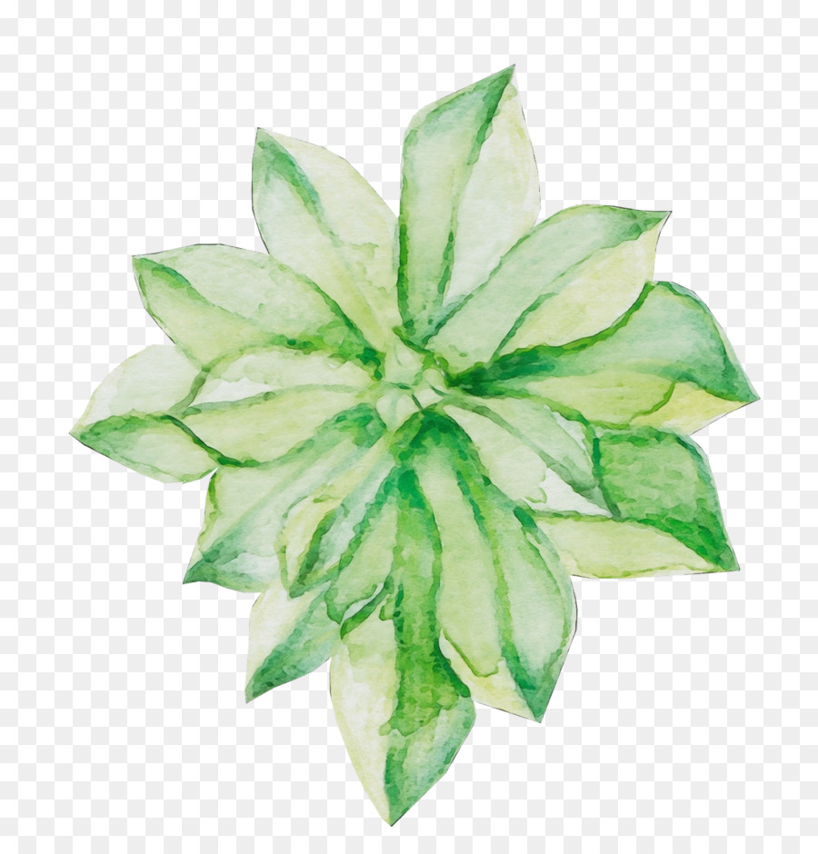 Verde，Hoja PNG