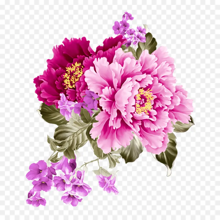 Flor，La Floración De La Planta PNG